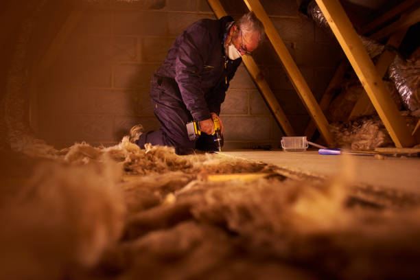 Best Cellulose Insulation in Tularosa, NM